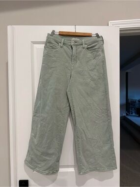 Banana Republic Factory Wide Leg Denim - Sage
